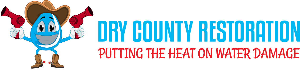 Dry County Restoration 